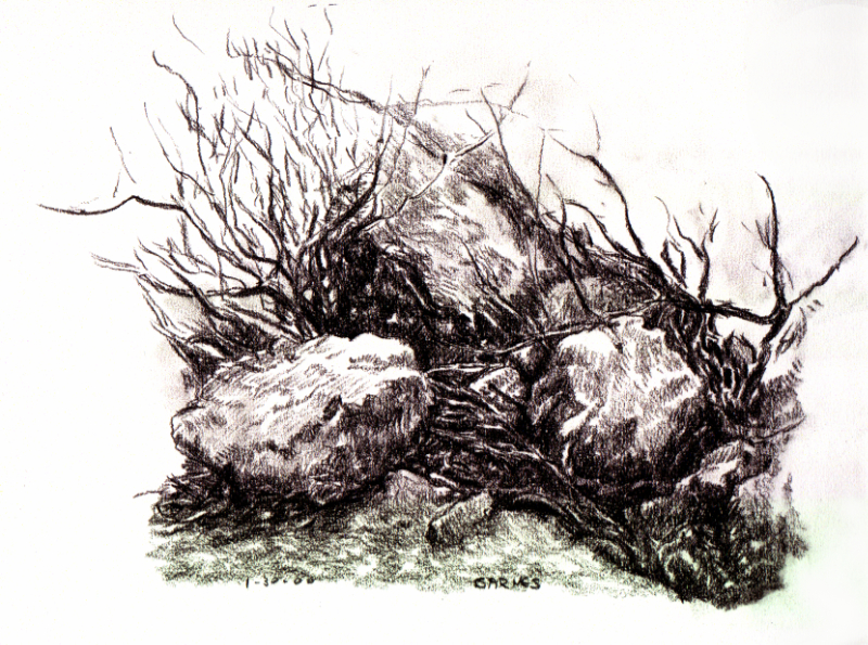 Rocks and grasses - charcoal drawing - esem art studio