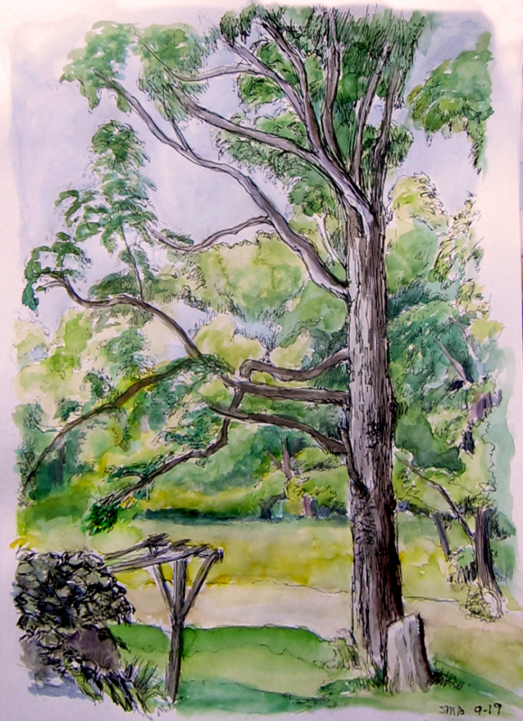 Ed's tree - watercolor painting - esem art studio